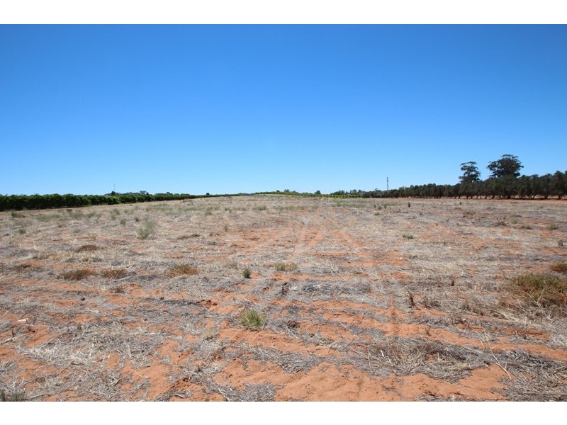 Lot 7 Sunrise Court, Berri SA 5343