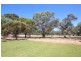 2A Bruce Street, Barmera SA 5345