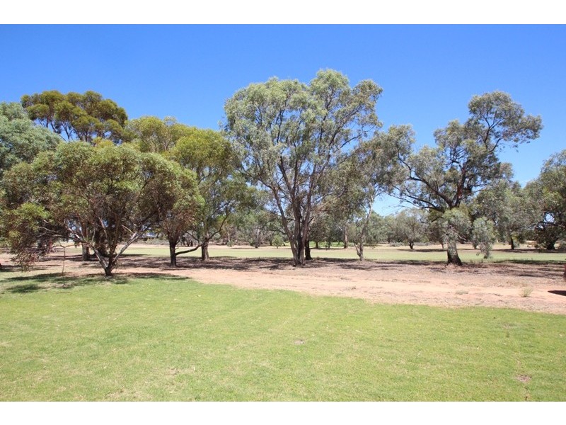 2A Bruce Street, Barmera SA 5345