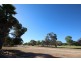 6 Bruce Road, Barmera SA 5345