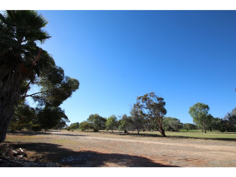 6 Bruce Road, Barmera SA 5345