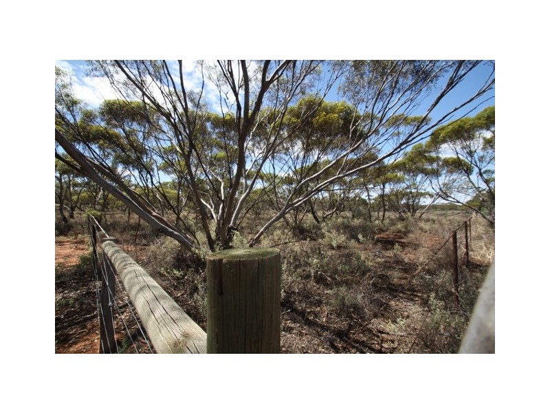 LOT 2 STURT HIGHWAY KOM via, Barmera SA 5345
