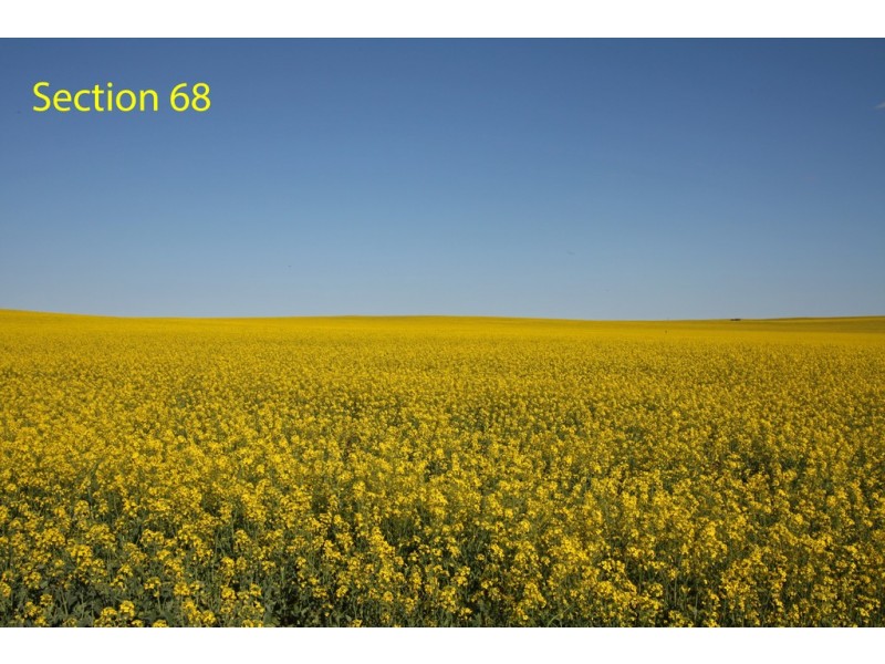 Sections 7 and 68 Hundred of Allen via, Wanbi SA 5310