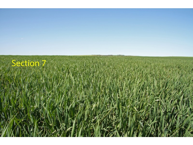 Sections 7 and 68 Hundred of Allen via, Wanbi SA 5310