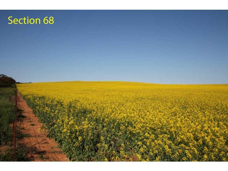 Sections 7 and 68 Hundred of Allen via, Wanbi SA 5310