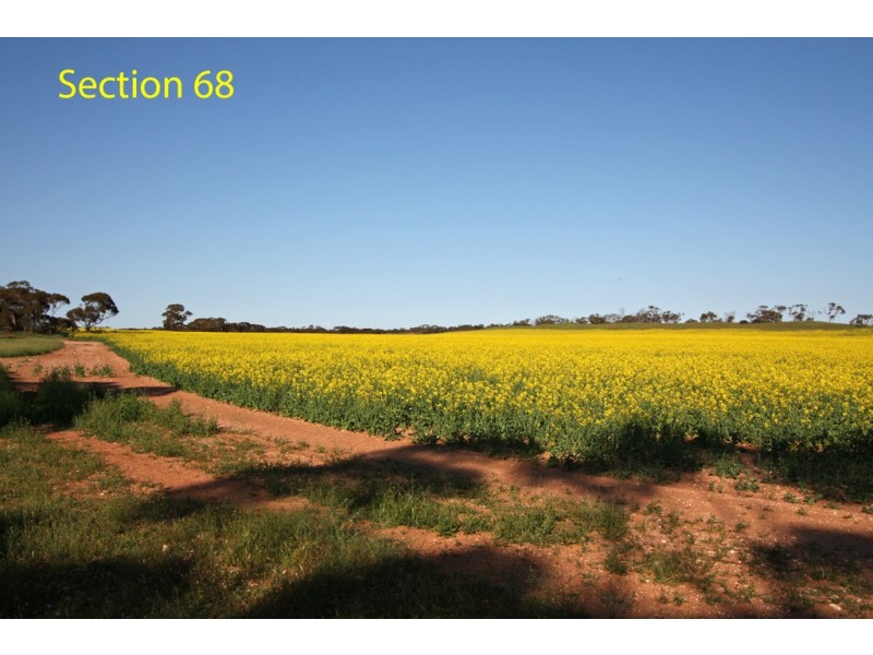 Sections 7 and 68 Hundred of Allen via, Wanbi SA 5310