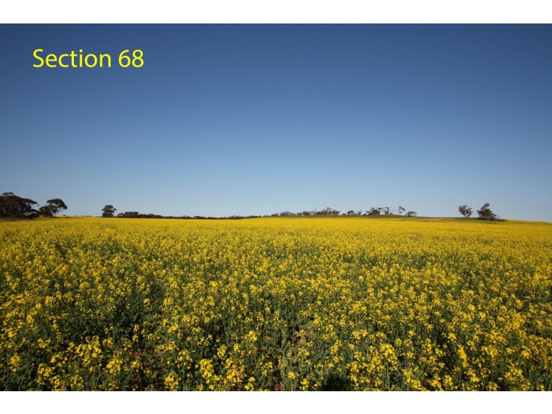 Sections 7 and 68 Hundred of Allen via, Wanbi SA 5310