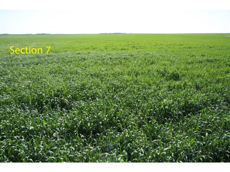 Sections 7 and 68 Hundred of Allen via, Wanbi SA 5310