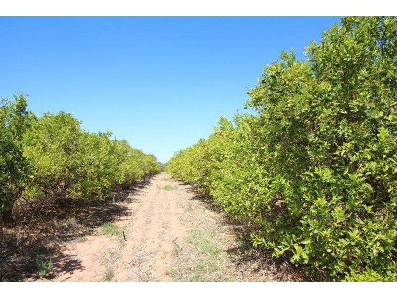 Lot 5 Eastern Road, Monash SA 5342