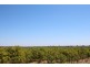 Lot 5 Eastern Road, Monash SA 5342