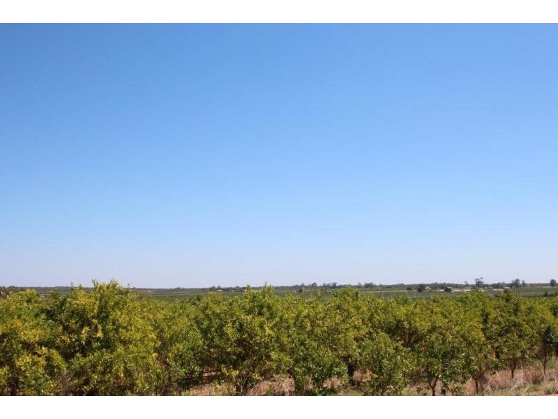 Lot 5 Eastern Road, Monash SA 5342
