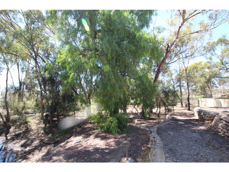 44B Queen Elizabeth Drive, Barmera SA 5345