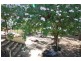 44B Queen Elizabeth Drive, Barmera SA 5345