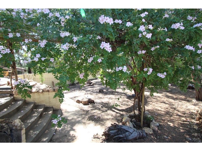 44B Queen Elizabeth Drive, Barmera SA 5345