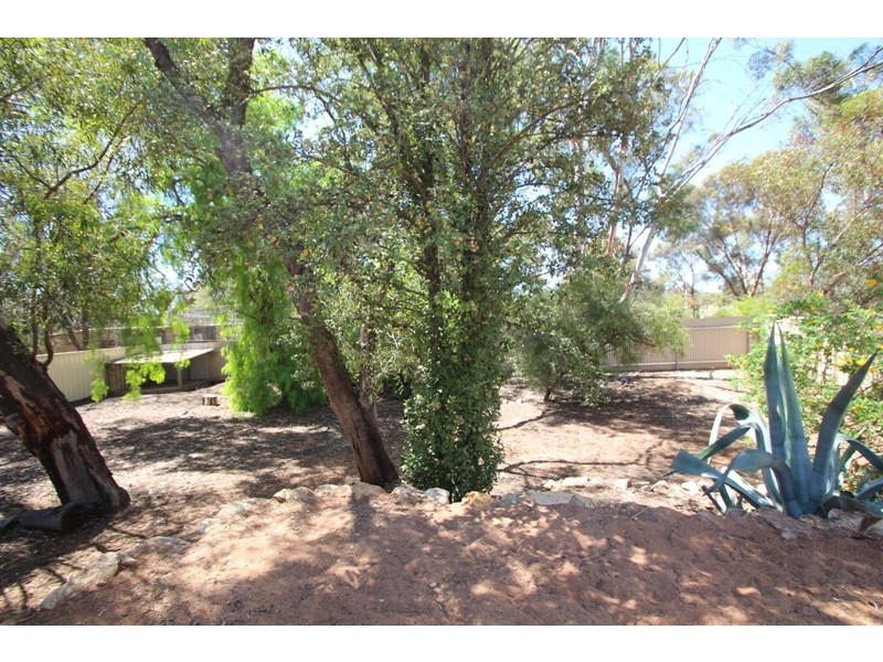44B Queen Elizabeth Drive, Barmera SA 5345