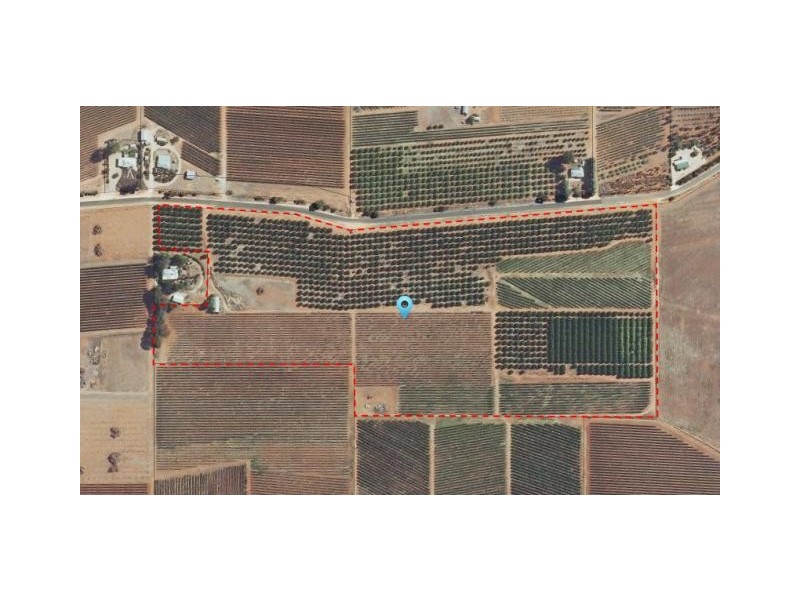 LOT 2 KINGSBURY, Loxton SA 5333