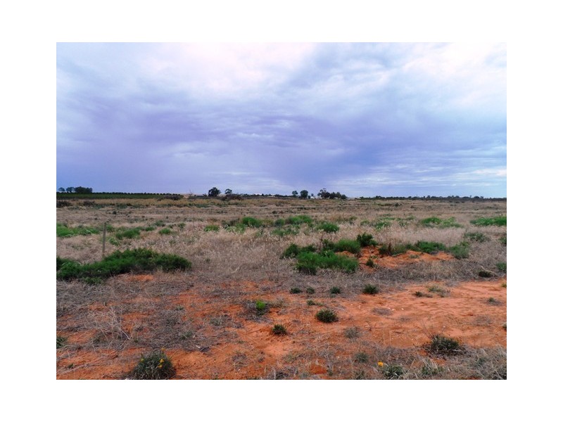 LOT 2 KINGSBURY, Loxton SA 5333