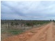 LOT 2 KINGSBURY, Loxton SA 5333