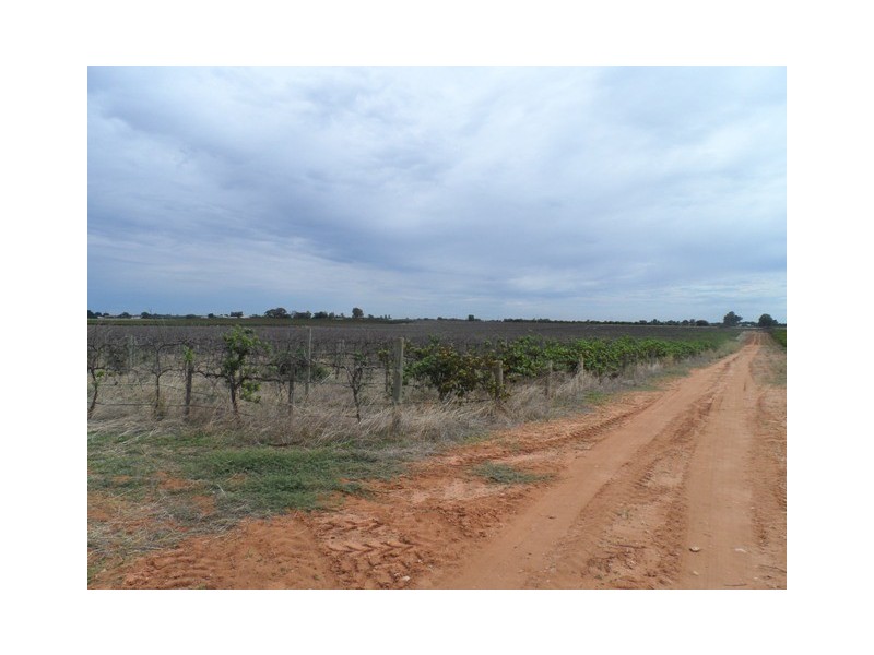 LOT 2 KINGSBURY, Loxton SA 5333