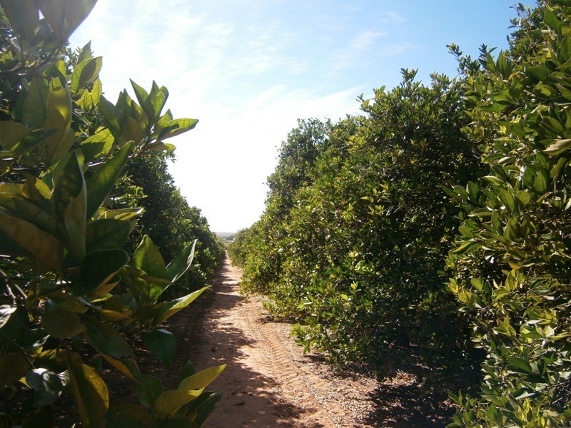 Lot 49 Rex Andrew Road, Golden Heights SA 5322