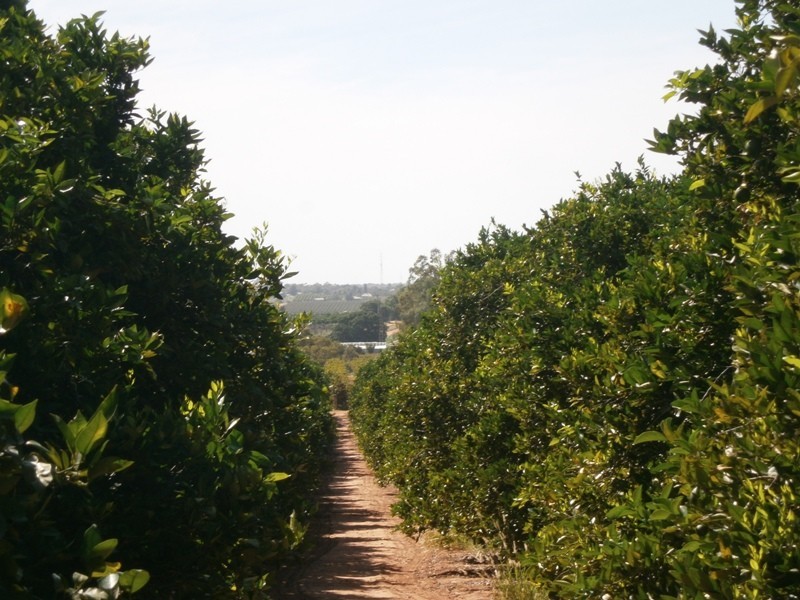 Lot 49 Rex Andrew Road, Golden Heights SA 5322