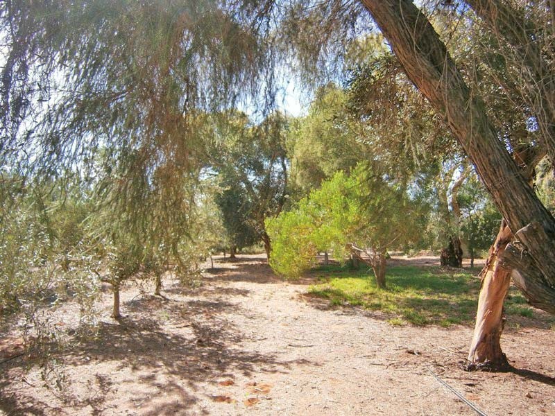 59 Thompson Road, Sunlands SA 5322