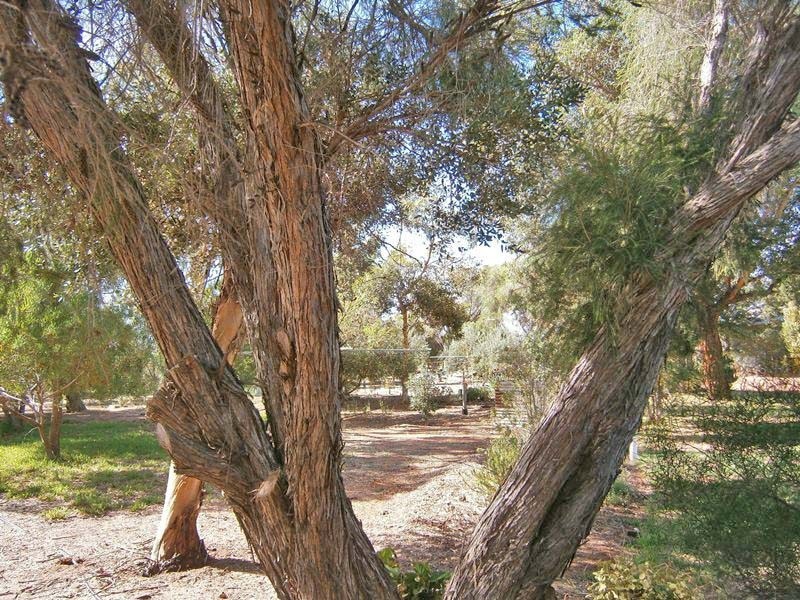 59 Thompson Road, Sunlands SA 5322