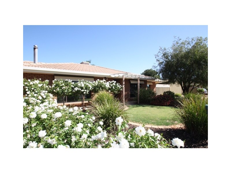 20 LUTHER ROAD, Loxton SA 5333
