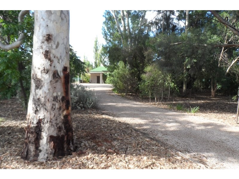 204 Twenty First Street, Renmark SA 5341