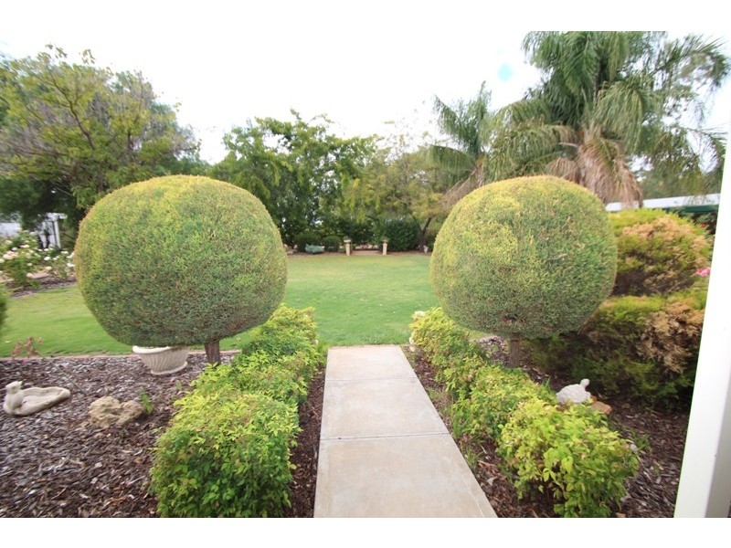 3 Lefkas Court, Berri SA 5343