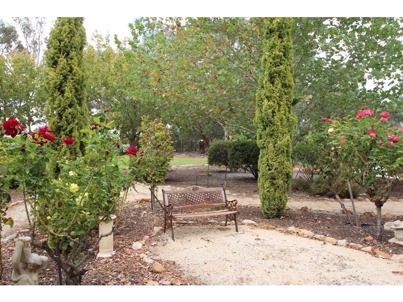 3 Lefkas Court, Berri SA 5343