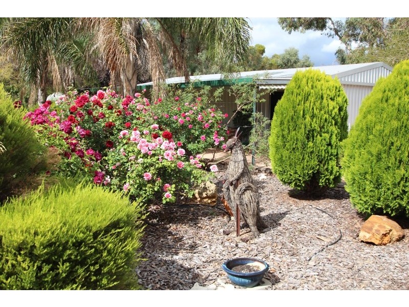 3 Lefkas Court, Berri SA 5343