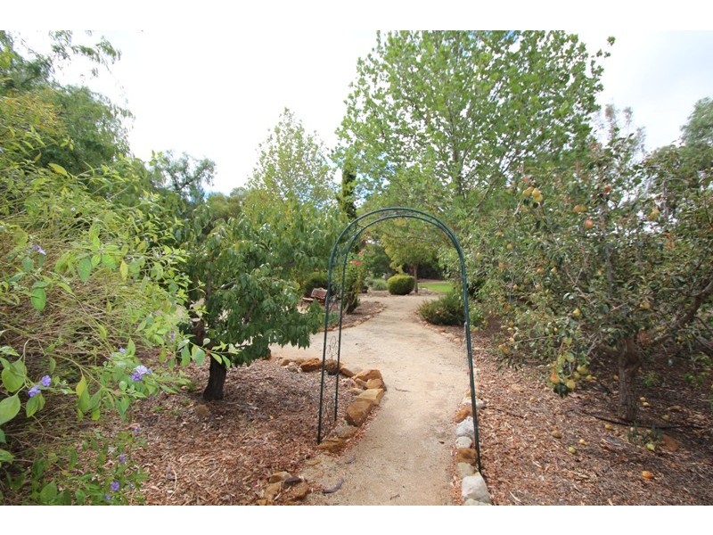 3 Lefkas Court, Berri SA 5343