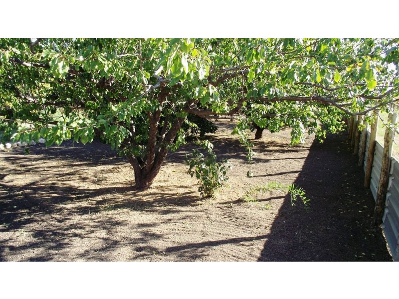 21 Downer Avenue, Lyrup SA 5343