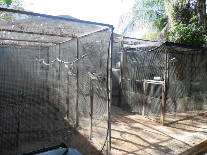 19 Proud Avenue, Loxton SA 5333