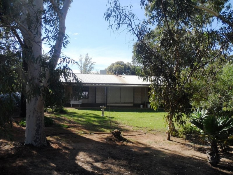 19 Proud Avenue, Loxton SA 5333