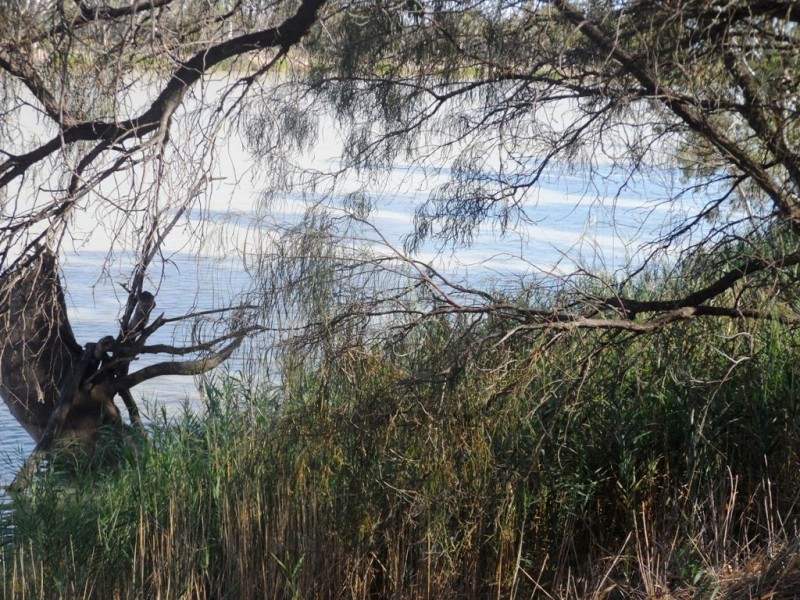 19 Proud Avenue, Loxton SA 5333