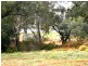 Lots 5 and 6 Law Road, Waikerie SA 5330
