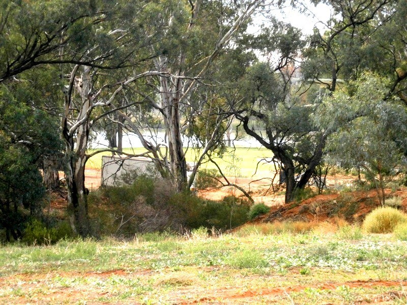 Lots 5 and 6 Law Road, Waikerie SA 5330