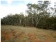 Lots 5 and 6 Law Road, Waikerie SA 5330