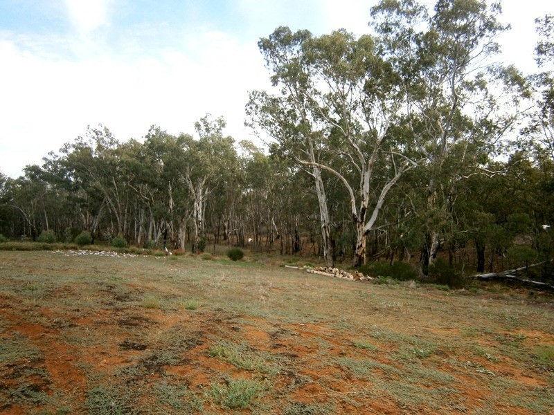 Lots 5 and 6 Law Road, Waikerie SA 5330