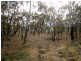 Lots 5 and 6 Law Road, Waikerie SA 5330