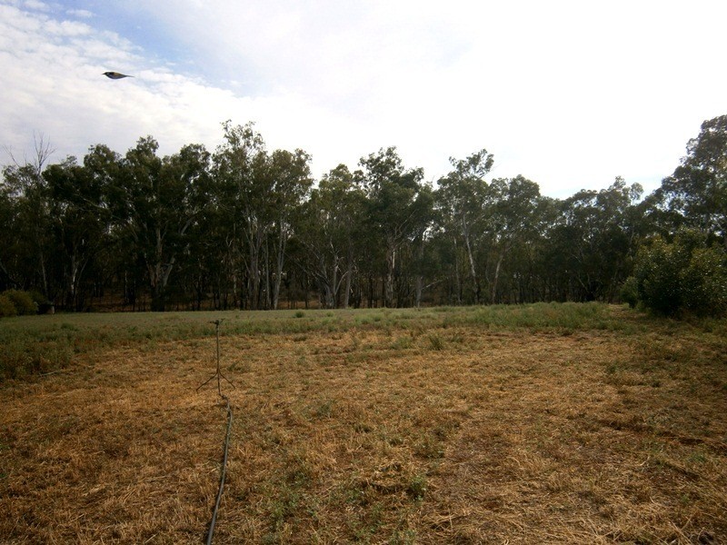 Lots 5 and 6 Law Road, Waikerie SA 5330