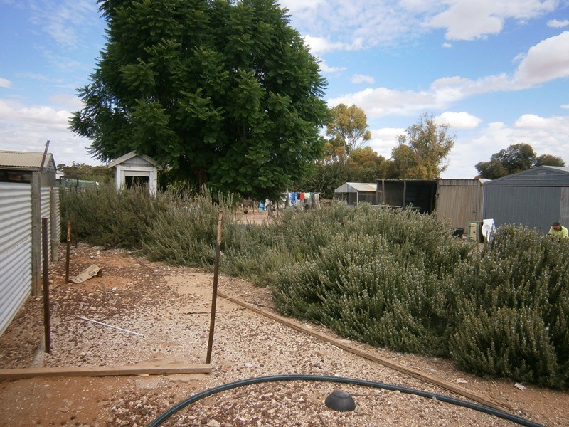 32 Baldock Road, Waikerie SA 5330