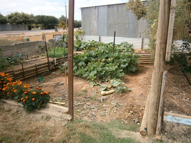 32 Baldock Road, Waikerie SA 5330