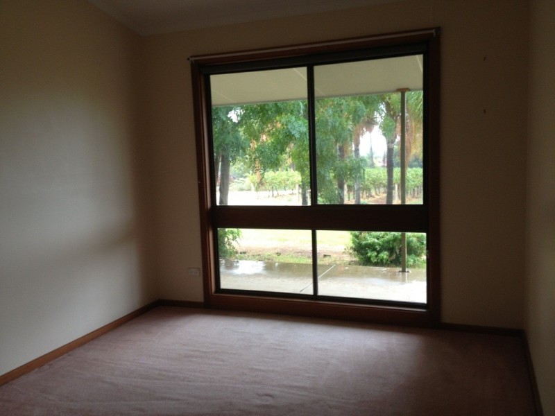 17302 Sturt Highway, Barmera SA 5345