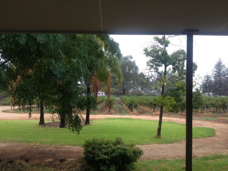 17302 Sturt Highway, Barmera SA 5345