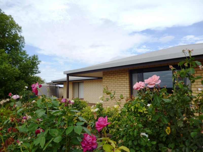 92 Reichstein Road, PYAP via, Loxton SA 5333