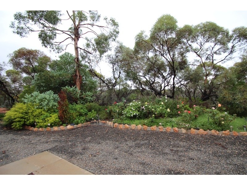 55 Henwood Road, Monash SA 5342