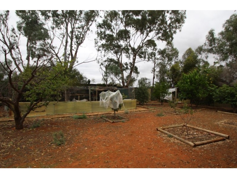 85 Farley Road, Kingston On Murray SA 5331